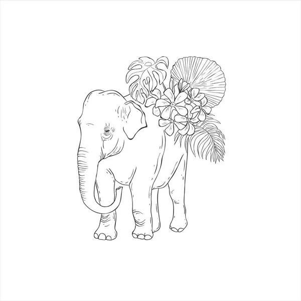 线形艺术大象 热带花 白色背景 病媒野生动物 Safari — 图库矢量图片
