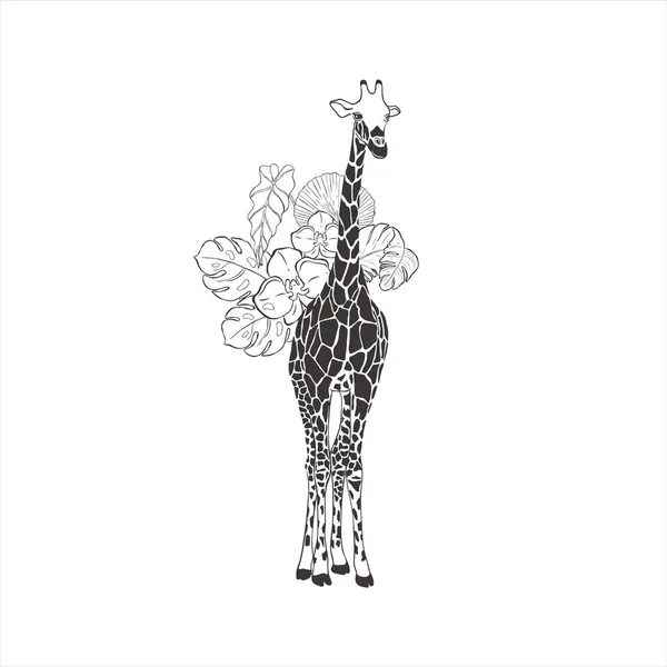 Zsiráf Egzotikus Virágokkal Fehér Háttérrel Vadállat Vektor Szafari — Stock Vector