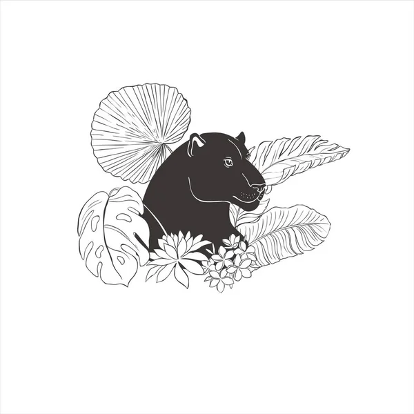 Panter Květinami Bílém Pozadí Vektorové Divoké Zvíře Safari — Stockový vektor