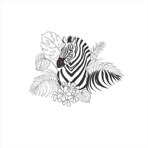 Zebra Květinami Bílém Pozadí Vektorové Divoké Zvíře Safari — Stockový vektor