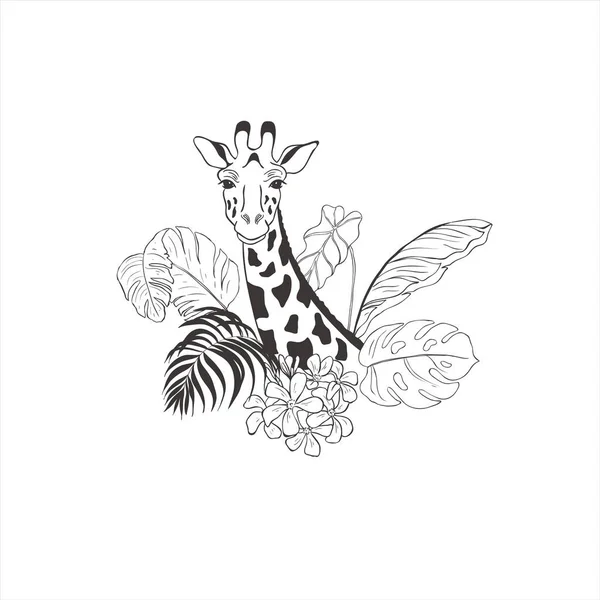 Girafa Com Flores Exóticas Fundo Branco Vector Animal Selvagem Safari —  Vetores de Stock