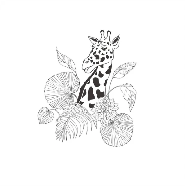 Beyaz arka planda egzotik çiçekleri olan zürafa. Vahşi Hayvan Vektörü. Safari.