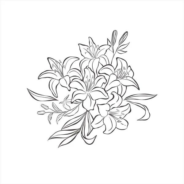 Bouquet de fleurs et feuilles de lys. — Image vectorielle