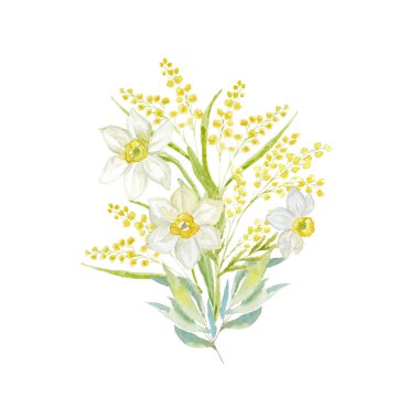 Beyaz arkaplanda nergis ve mimoza ile suluboya buketi