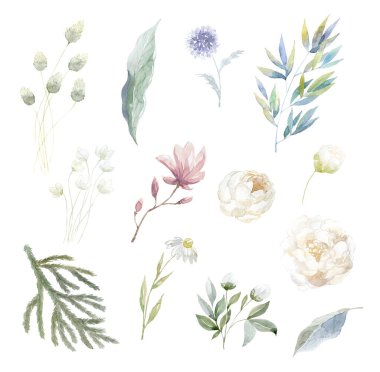 Suluboya çiçek ve yaprakları beyaz arka plan üzerinde set.