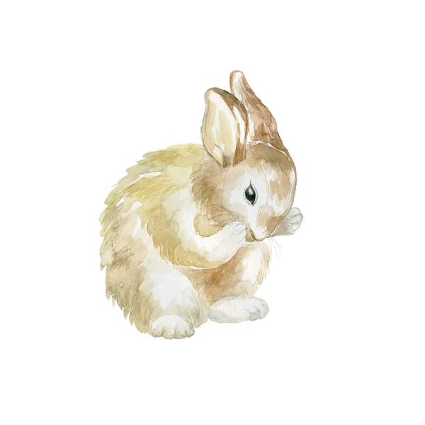 Lapin Aquarelle Carte Pâques Affiche Pour Chambre Enfant — Photo