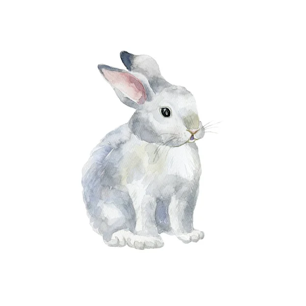 Akvarell Kanin Påskkort Affisch För Barn Rum — Stockfoto