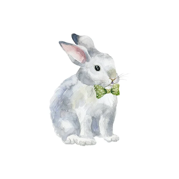Watercolor Bunny Easter Card Poster Children Room — Stock Photo, Image
