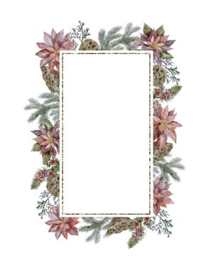 Beyaz Arkaplanda Poinsettia olan suluboya Noel Çerçevesi.
