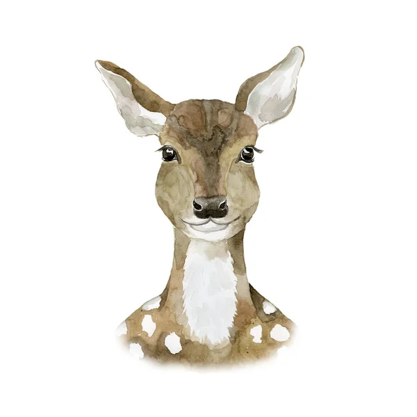 Олененок Акварели Белом Фоне Иллюстрация Лесных Животных — стоковое фото