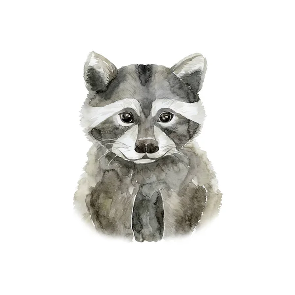 Akvarell Tvättbjörn Vit Bakgrund Skogsdjur Illustration — Stockfoto