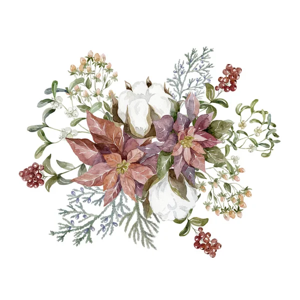 ポワセティアと水彩冬の花束 花のクリスマスイラスト — ストック写真