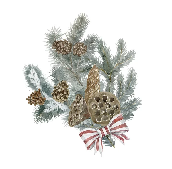 与Spruce的水彩画冬季花束 花卉圣诞插画 — 图库照片
