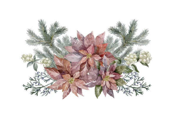 ポワセティアと水彩冬の花束 花のクリスマスイラスト — ストック写真