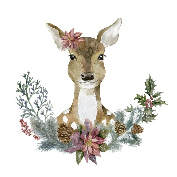 冬の花と水彩赤ちゃん鹿 森動物図 — ストック写真