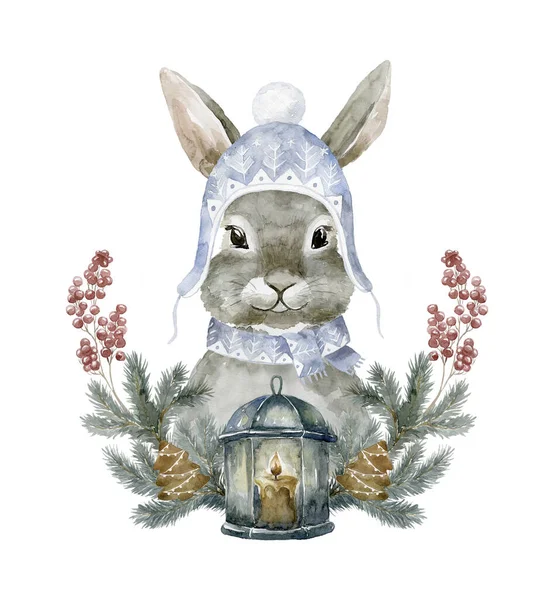 Şapkalı Suluboya Tavşan Orman Hayvanı Çizimi — Stok fotoğraf