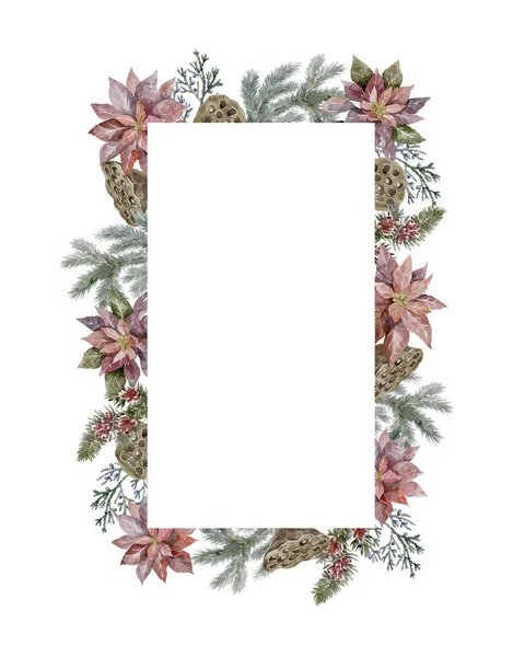 Watercolor Christmas Frame Poinsettia White Background — Stock Photo, Image