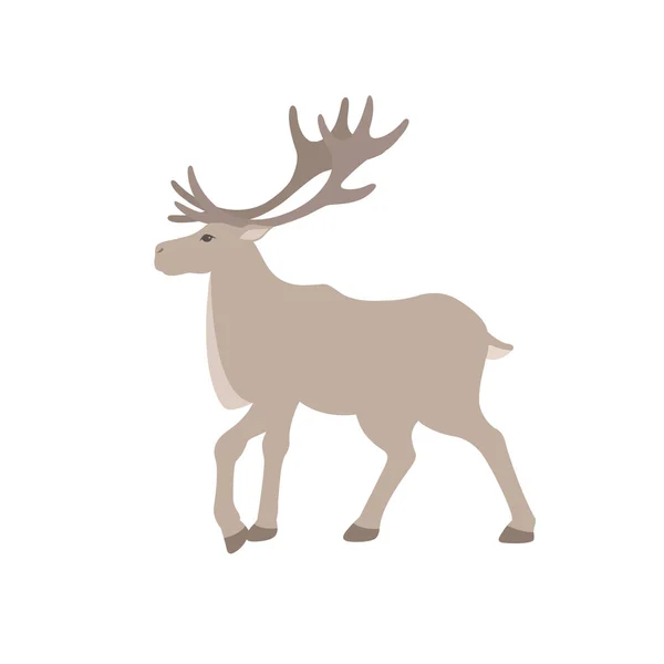 Deer White Background Vector Illustration — Stock Vector