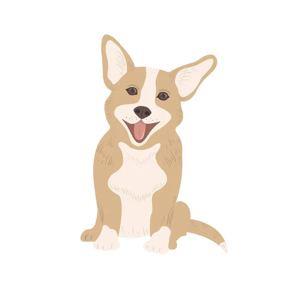 Mignon Chien Corgi Sur Fond Blanc Illustration Vectorielle — Image vectorielle