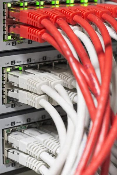 Conmutador de red y cables Imagen de archivo