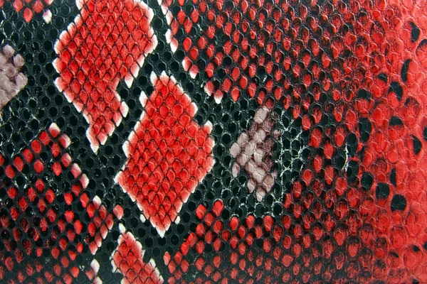 Snake skin background — Stock Photo, Image
