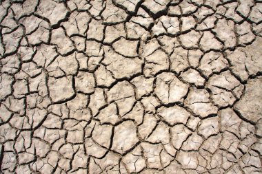 Kuru çatlamış toprak