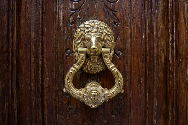 Lion Head Door Knocker — Stock Photo, Image