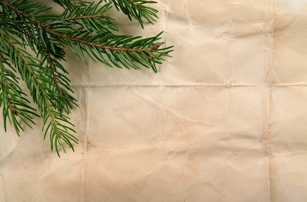 Beige paper background with Christmas tree — Stock Photo, Image