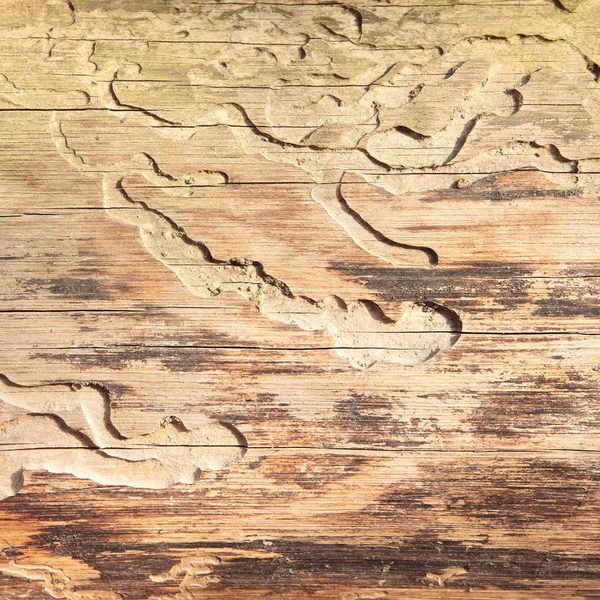 Old Wood Background. — Stock Photo, Image