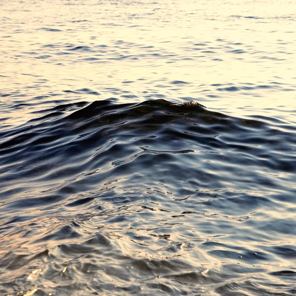 Fond de mer dans le style vintage tonique — Photo