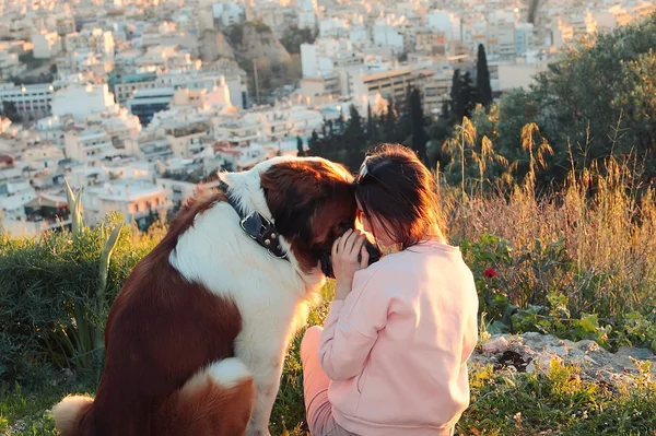 Uma menina e seu cão sentado em uma montanha — Fotografia de Stock