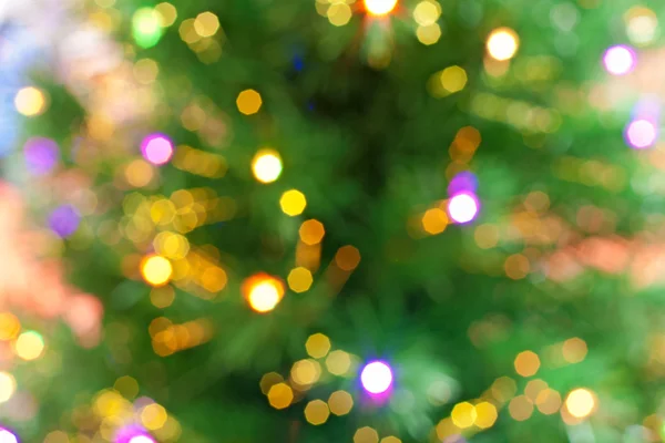 Christmas tree bokeh background — Stock Photo, Image