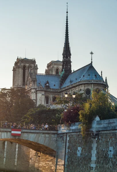 Katedra notre dame — Zdjęcie stockowe