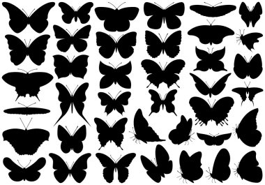 Butterfly set clipart