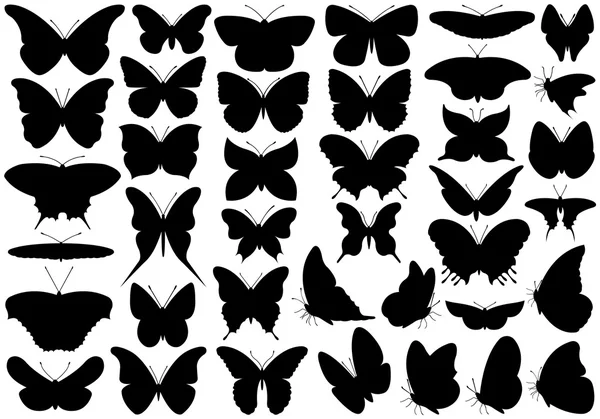 Conjunto mariposa — Archivo Imágenes Vectoriales