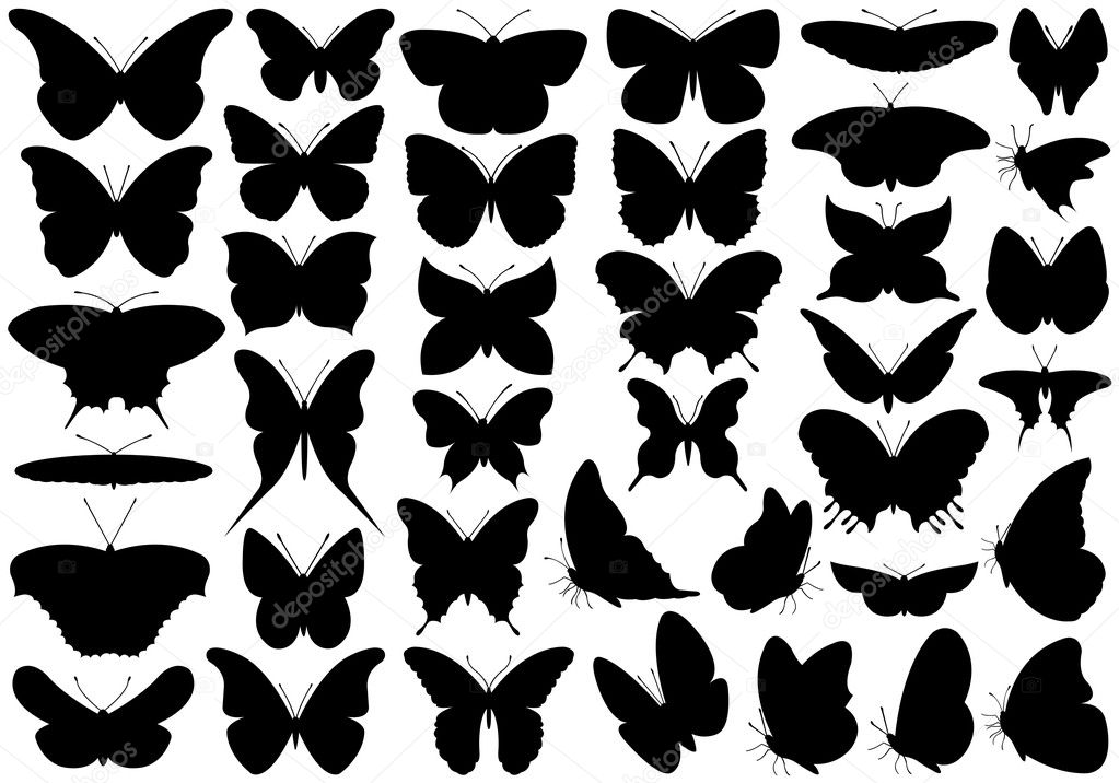 Butterfly set