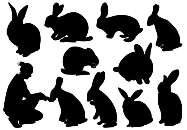 Набор различных кроликов — стоковый вектор