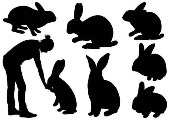 Ensemble de lapins différents — Image vectorielle