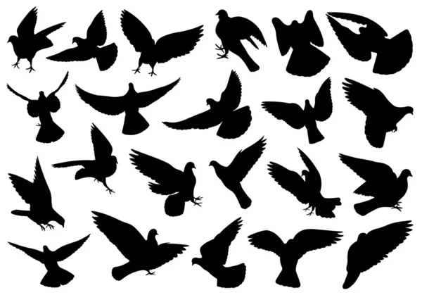 Set of different doves — Stock Vector