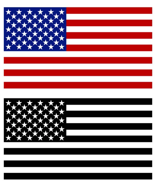 Illustration Couleur Noir Blanc Usa Drapeau Isolé Sur Blanc — Image vectorielle