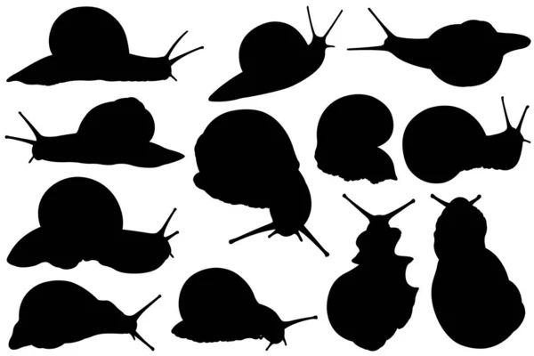 Conjunto Diferentes Siluetas Caracol Aisladas Blanco — Vector de stock