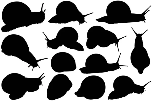 Illustration Different Snail Silhouettes Isolated White — Stock Vector