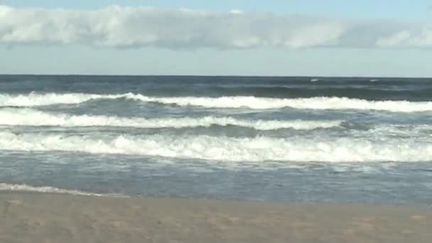 Pacific Ocean, Gold Coast, Queensland, waves — Stock Video