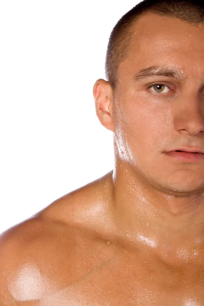 筋肉質の男性モデルのボディービルダー — ストック写真