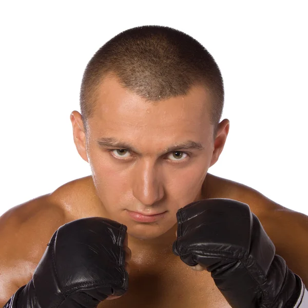Férfi boxer, egy harcos. sport. Stock Kép