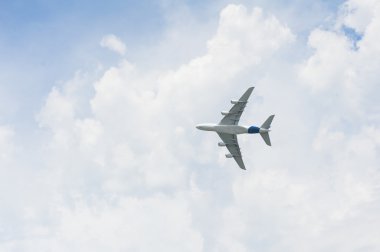 yolcu uçağı, sinek