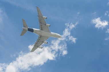 yolcu uçağı, sinek