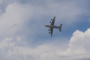 yolcu uçağı, sinek