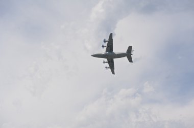 yolcu uçağı, sinek