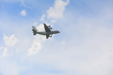 yolcu uçağı, sinek